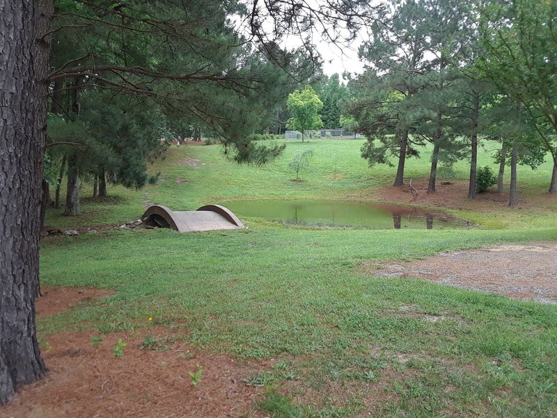 This North Carolina Monastery Holds The Only Known Accurate Replica Of The Sacred Panagia Prousiotissa Icon - Decor Hint Meadows, Woods, And A Pond Make The Setting Feel Calm