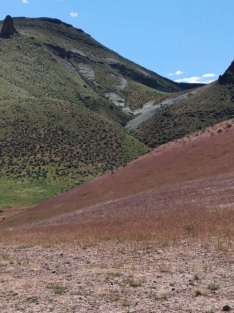 Hillsides And Dry Washes Hold Surprises Too