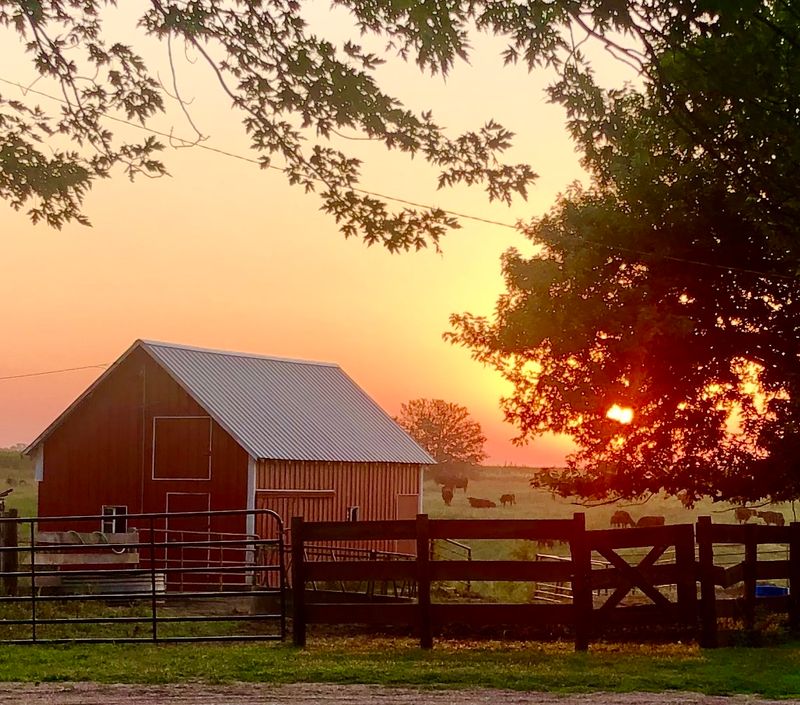 Plan Your Farm Pickup Around A Short Weekly Window
