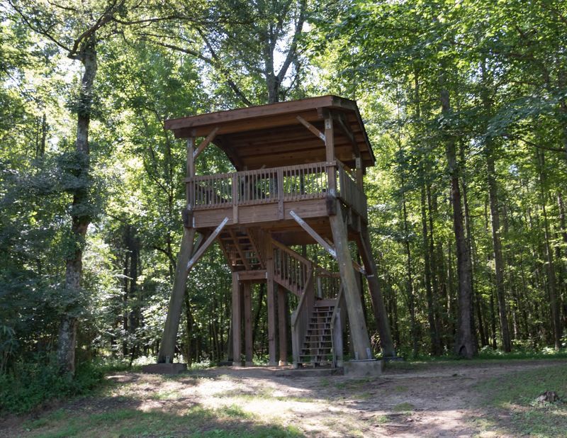 This Georgia Park By The River Is A Beautiful Place To Spend A Fall Day - Decor Hint Wildlife Watching Feels Like A Treasure Hunt