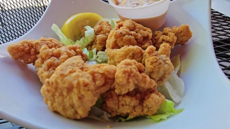 Gator Bites That Steal The Show