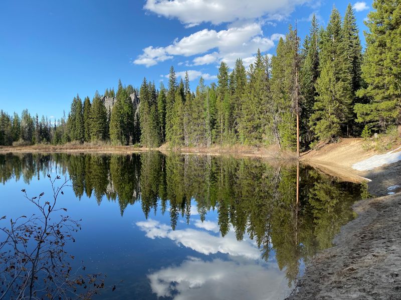 Kokanee, Lake Trout, And Quiet Mornings On The Water