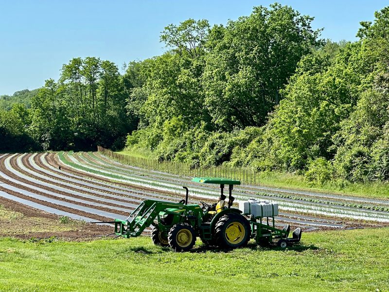 Tourism Officials Put This Farm On The Map For A Reason
