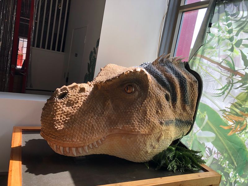 Traveling Exhibits Keep Every Visit Fresh
