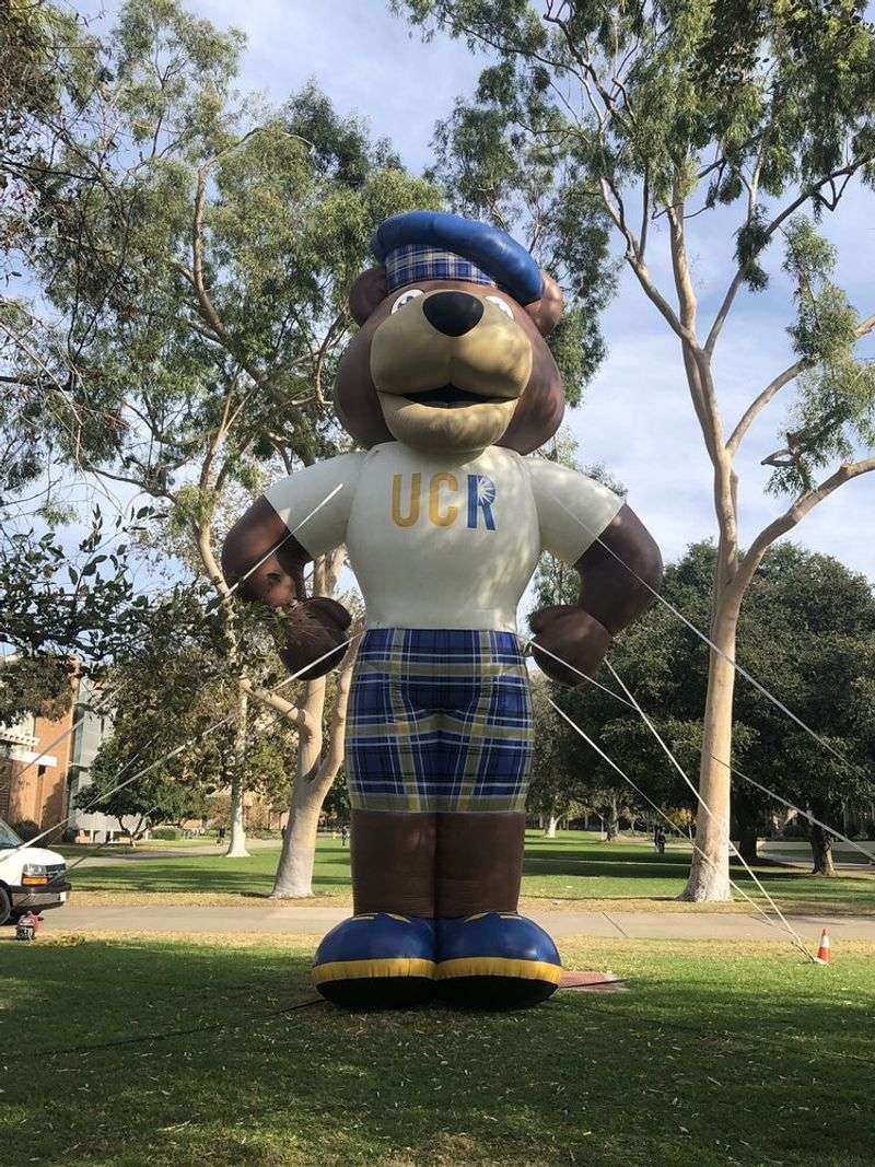This California University Just Ranked No. 1 In America For Helping Students Succeed - Decor Hint Student Parents Get Real Backup Here
