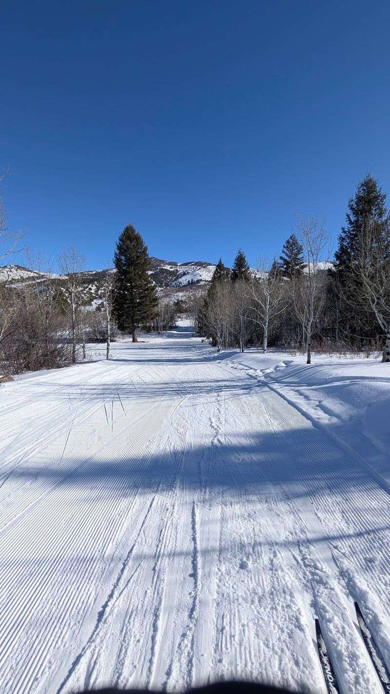 East Fork Mink Creek Nordic Center