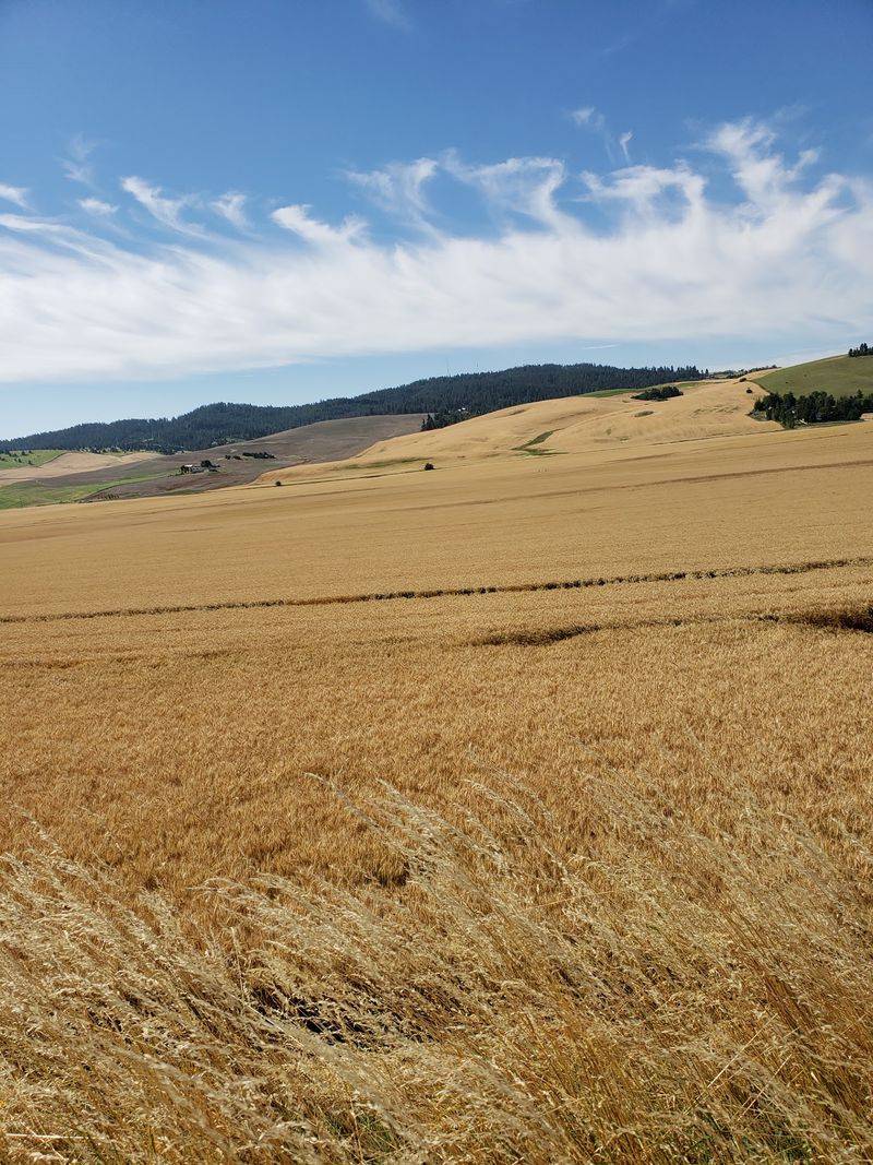 Why This Farm-Country Ride Deserves a Spot on Your List