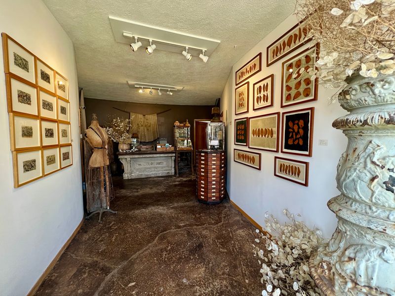 12 California Antique Stores We Ranked Among The Best For Vintage Finds - Decor Hint Tumbleweed Found