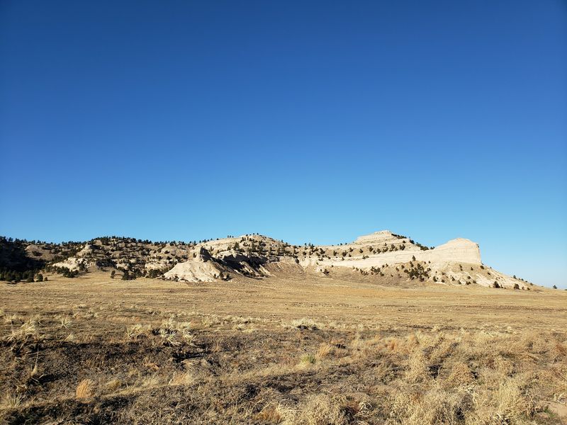 The Bluffs Steal Every Single Scene