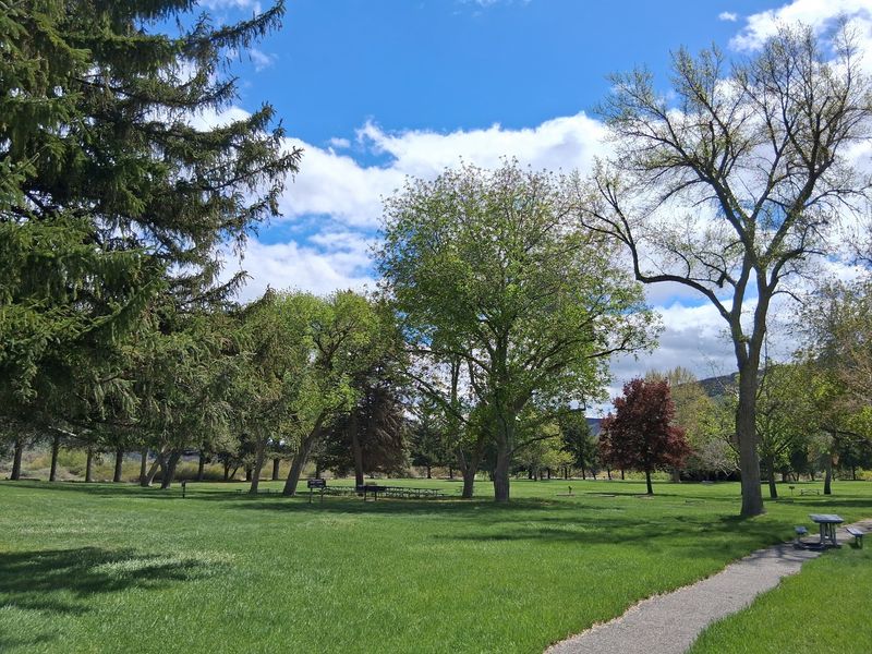 Room To Spread Out A Whole Family Picnic