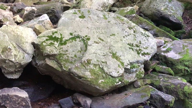 The Fossil Pit On Bear Hole Trail Is Where The Digging Happens
