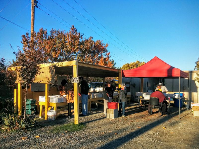 Tsukuda Fruit Stand, San Jose