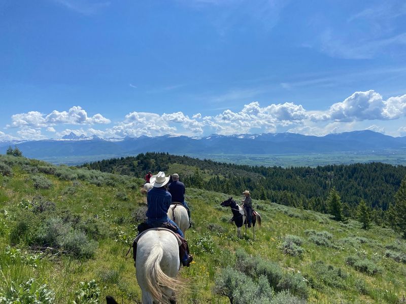 Forest Paths, Steep Slopes, And A Ridge-Top Payoff