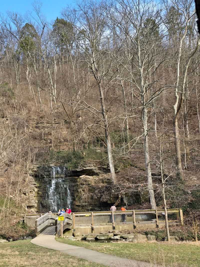Walk Above The Wetlands Without Soggy Socks