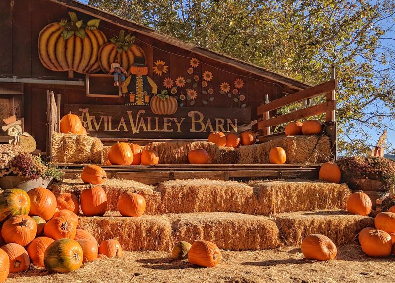 This California Apple Orchard Was Just Named Among The Best In America - Decor Hint Pumpkins, Gourds And Squash Everywhere