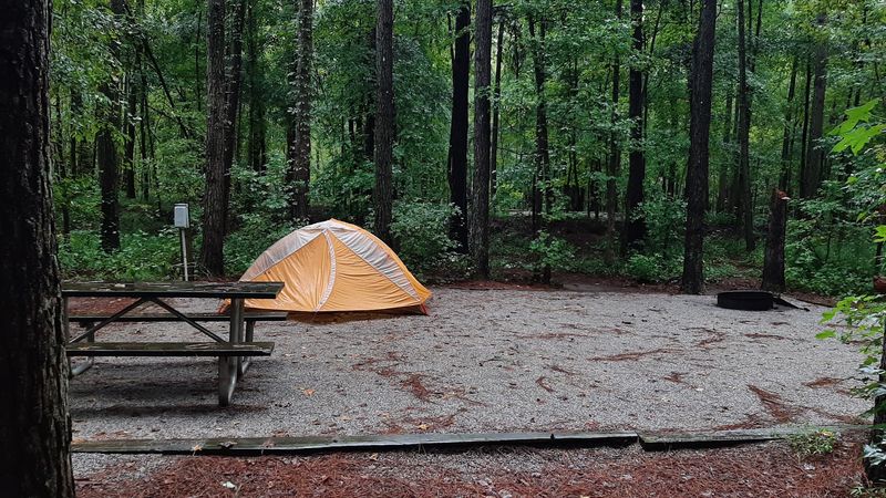 This Georgia Park By The River Is A Beautiful Place To Spend A Fall Day - Decor Hint Cozy Cottages And Campsites For Staying Longer