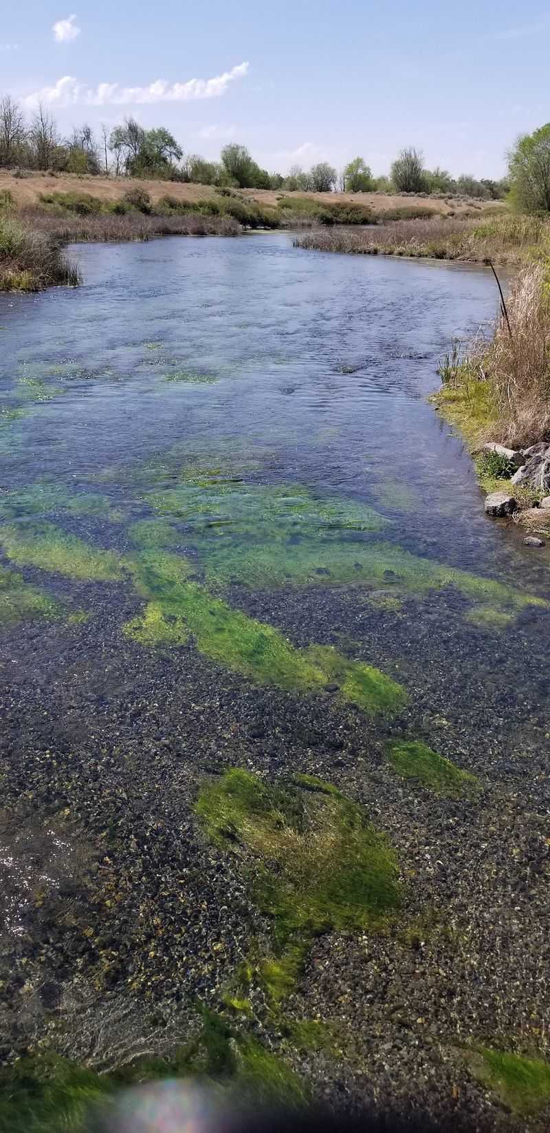 Cast A Line In The Nearby Ponds