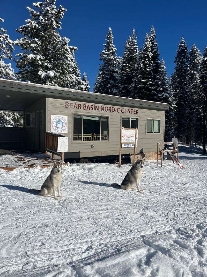 Bear Basin Nordic Center