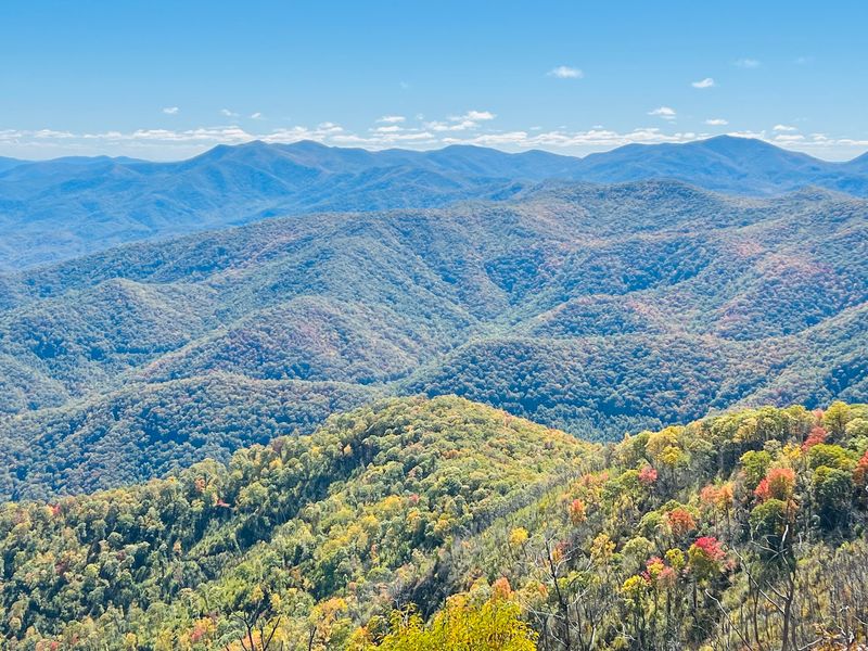 Pack A Picnic And Linger Longer Than Planned
