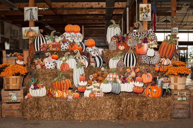 Trax Farms Fall Festival