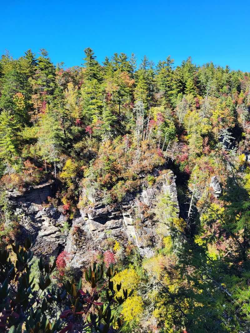 This North Carolina Waterfall Is Surrounded By Brilliant Fall Colors Right Now, And The Views Are Worth The Hike - Decor Hint Keep Your Feet Dry And Your Camera Busy