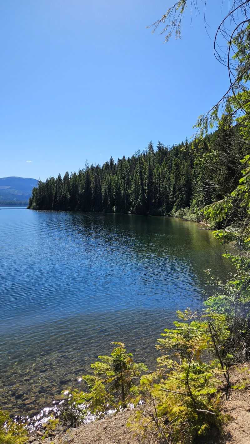 Why So Many Summer Guests Decide To Stay