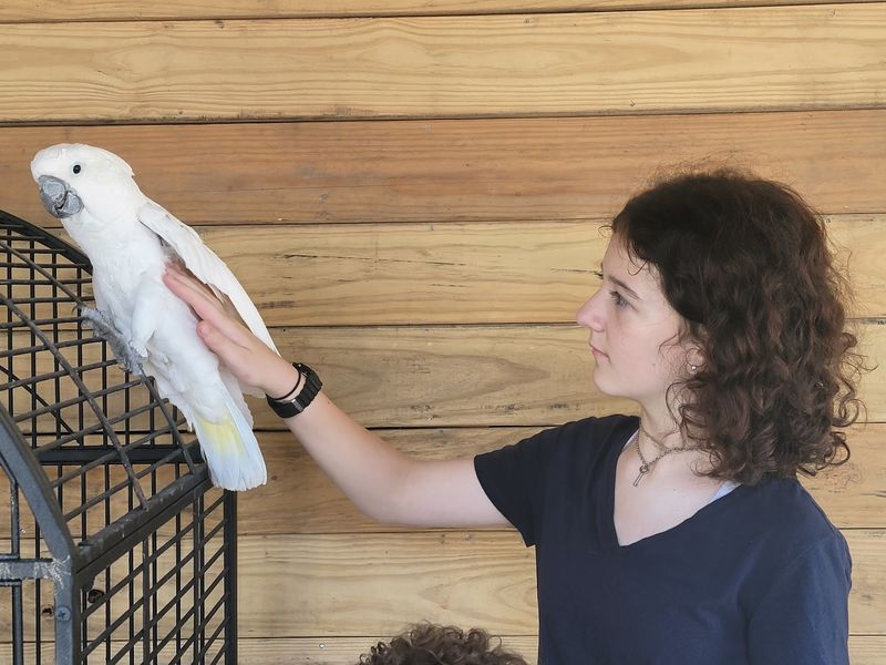 This Georgia Zoo Lets You Get Up Close With Sloths, Camels, And Exotic Animals - Decor Hint Petting, Holding, And Hands-On Moments