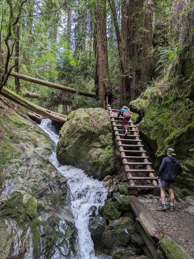 12 Budget-Friendly Day Trips From The California Bay Area That Feel Like A Mini Vacation For Under $65 - Decor Hint Mount Tamalpais State Park, Mill Valley