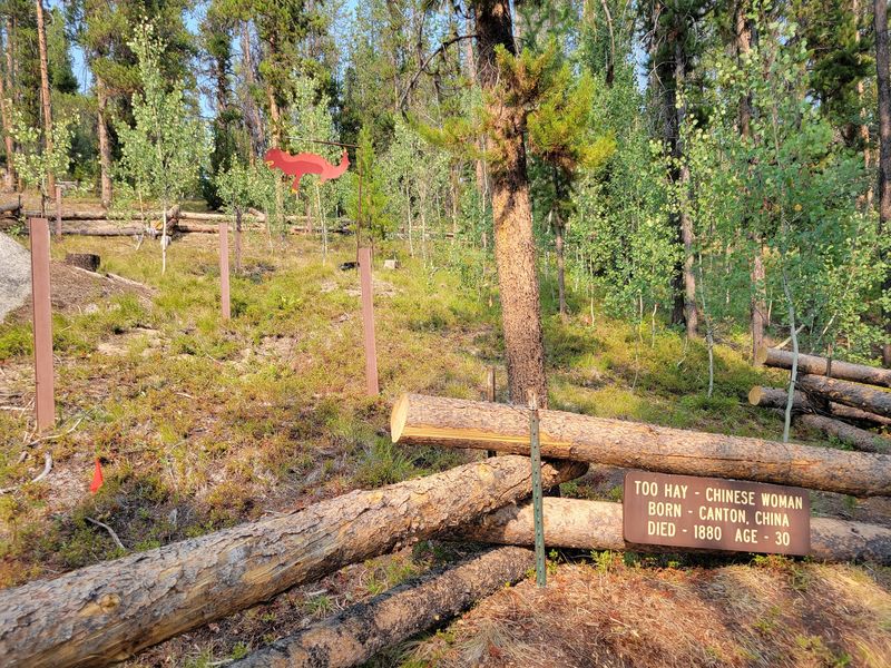 8 Idaho Places That Tell The Story Of The Miners Who Built Its Gold Camps - Decor Hint Chinese Cemetery (Idaho)