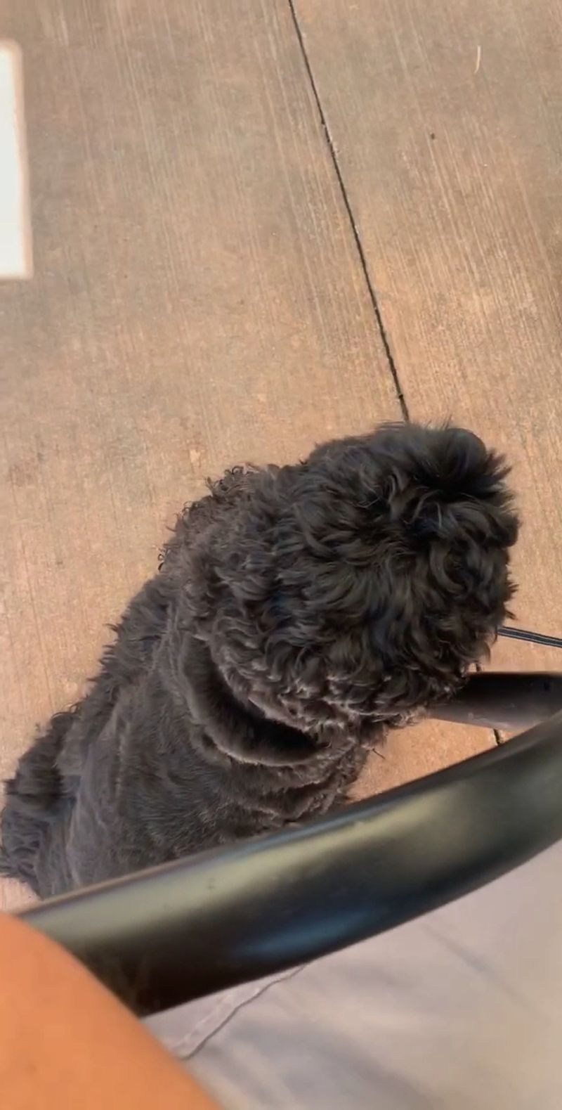 This Ohio Restaurant Hidden Inside An Apple Orchard Is A Fall Trip Worth Taking - Decor Hint Your Dog Is Invited, As Long As It Brings A Leash