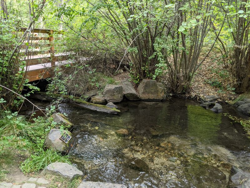 Mountain Streams, Wetlands, And High Desert In One Short Walk