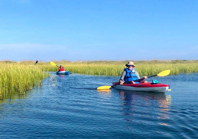 This North Carolina Kayaking Adventure Takes You Across A Lake Where Wild Alligators Roam - Decor Hint Old Rice Canals Hold Stories Worth Paddling Through