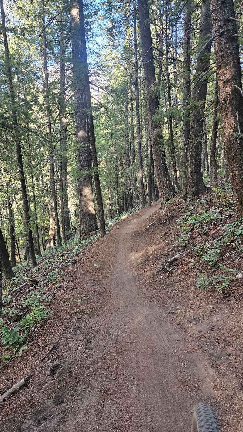 Since 1938 This Idaho Ski Hill Has Run A Single Chairlift That Families Still Ride Today - Decor Hint Summer Trails After The Snow Melts