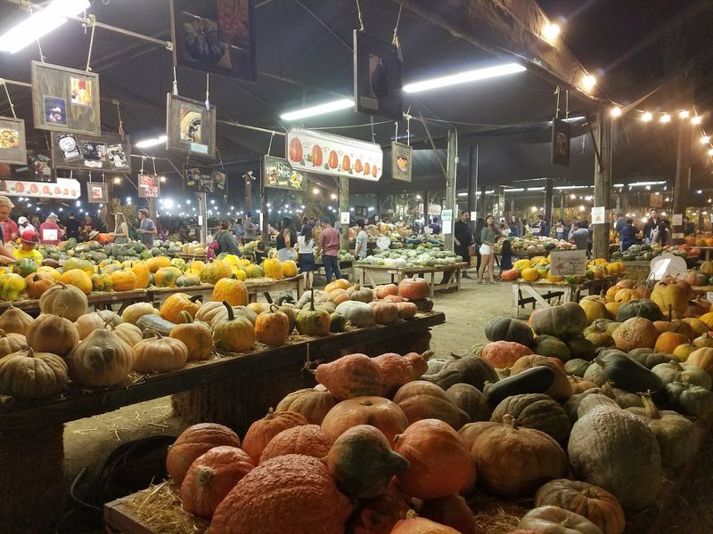 The Haunted Maze Runs Through Halloween Night