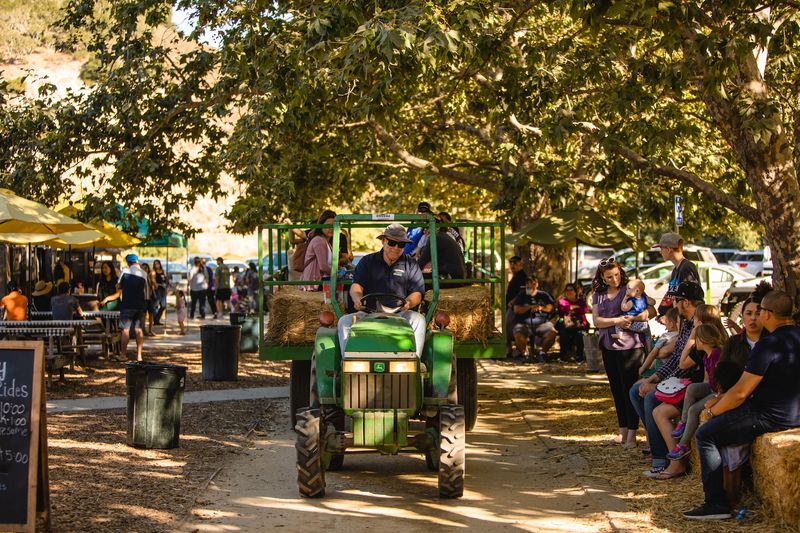 This California Apple Orchard Was Just Named Among The Best In America - Decor Hint Bumping Along On A Tractor Hayride