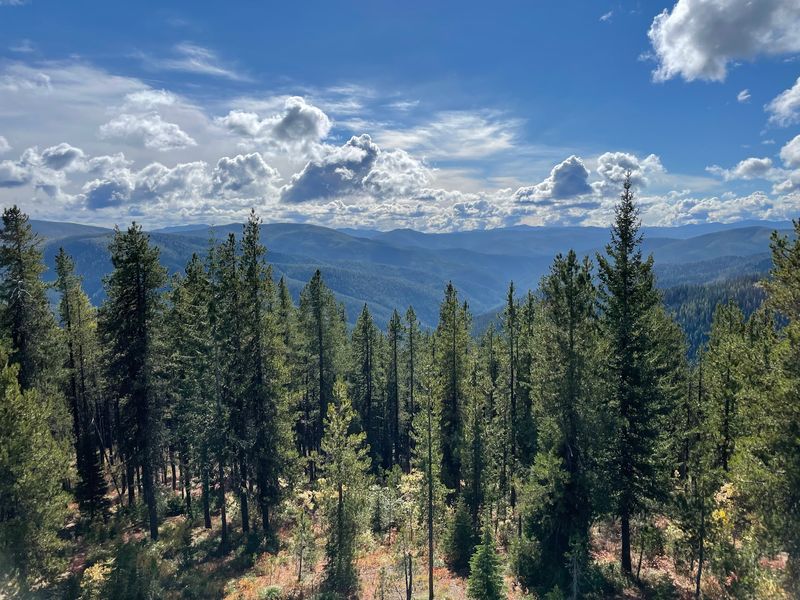 At 7,014 Feet This Idaho Lookout Tower Rents Overnight Stays Above The Treetops - Decor Hint Furry Neighbors Who Never Knock