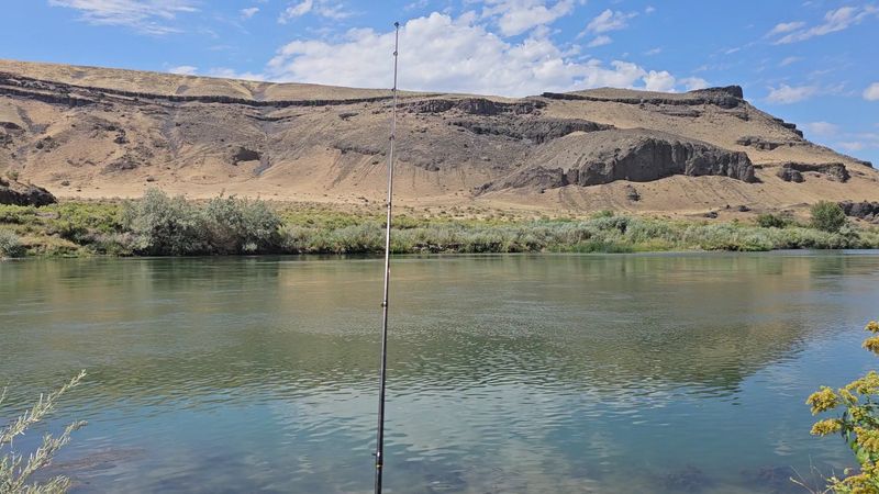 Riverside Camping And Fishing Keep People Lingering Past Dark
