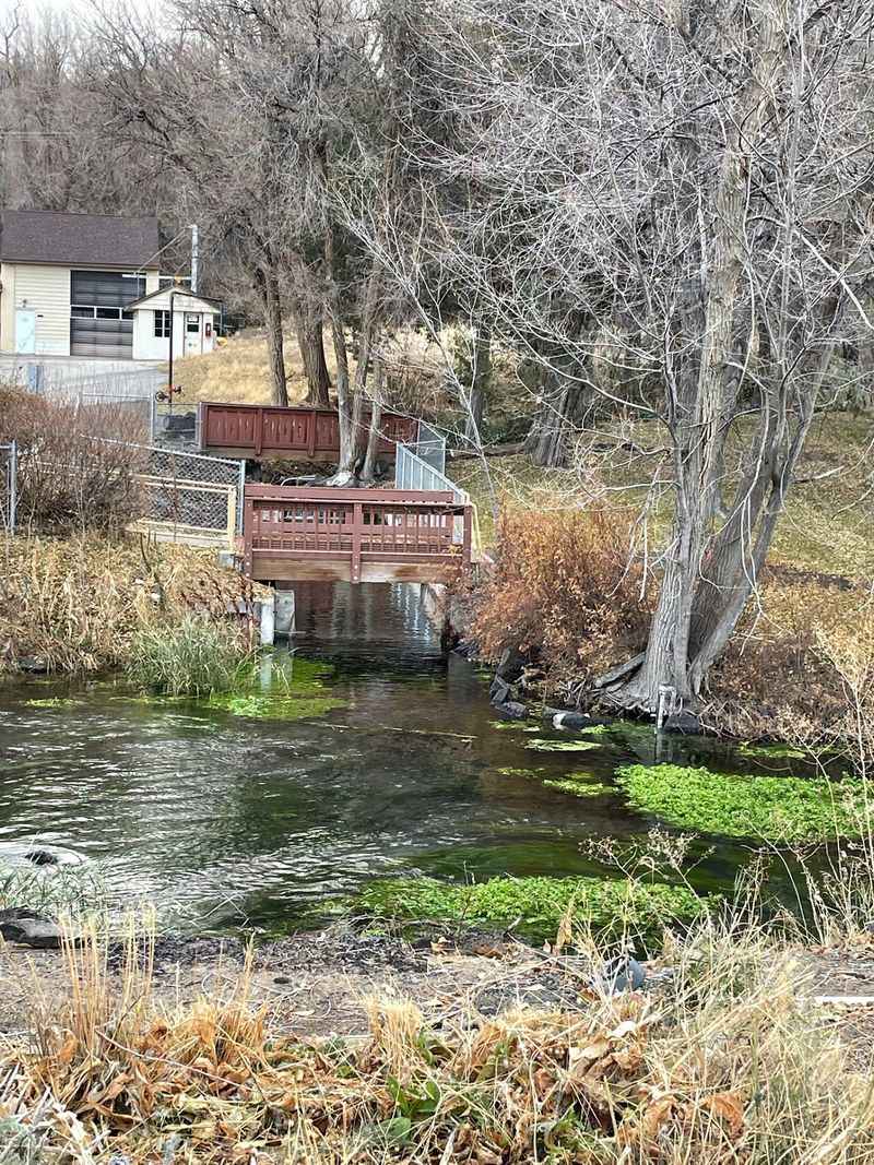 Ducks, Eagles, And Trails In The Wildlife Area
