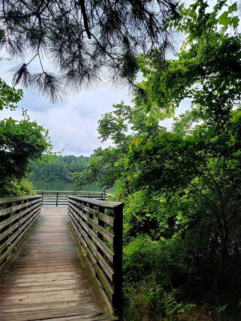 10 Virginia Bird Sanctuaries Where A Quiet Morning Can Turn Into Something Unforgettable - Decor Hint Hoffler Creek Wildlife Preserve, Portsmouth