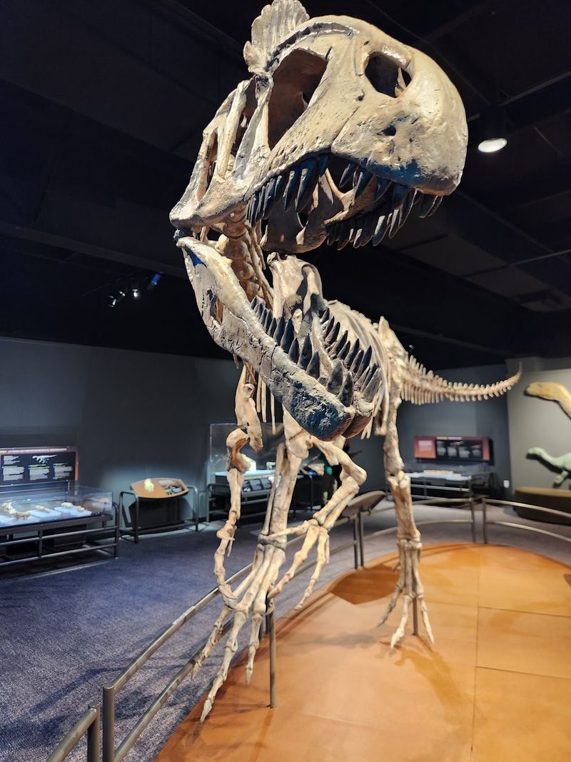 Disney Costumes And Other Traveling Exhibits Keep It Fresh