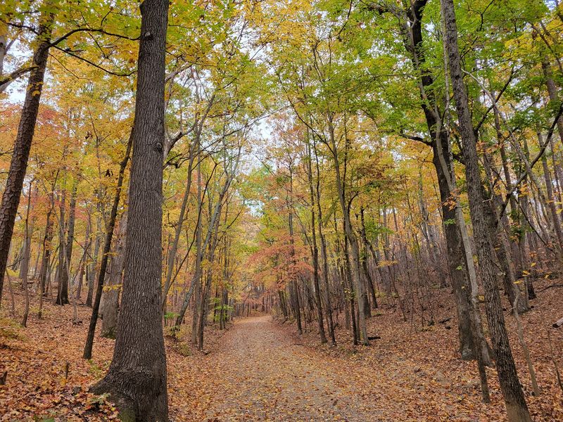 Occoneechee Mountain Loop Trail, Hillsborough