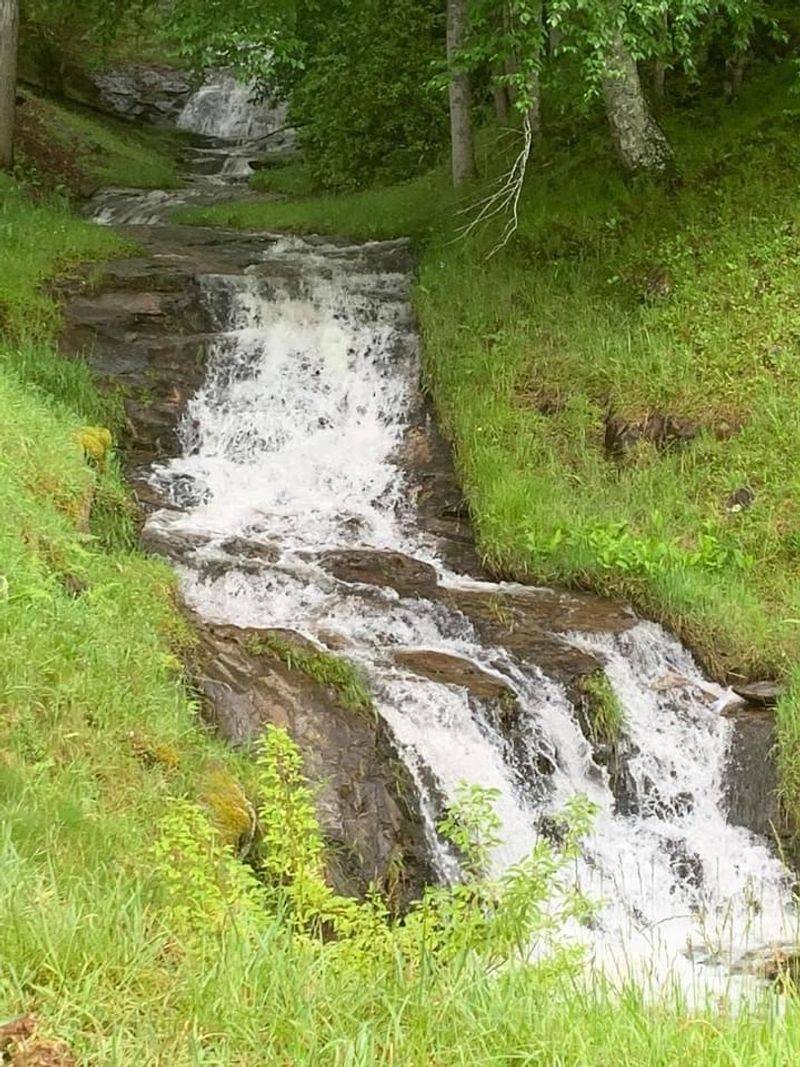 Spot Tom Branch Falls Just Minutes From The Trailhead