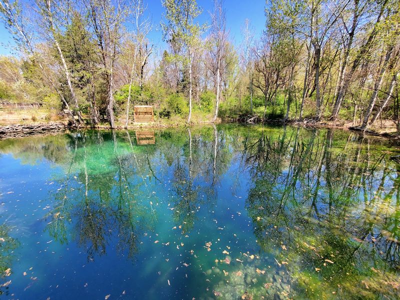 A Free Wildlife Escape Sitting Right On The Boise River Greenbelt