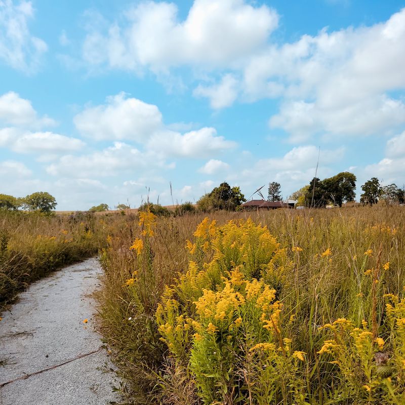 Four Miles Of Trails Give You Plenty Of Choices