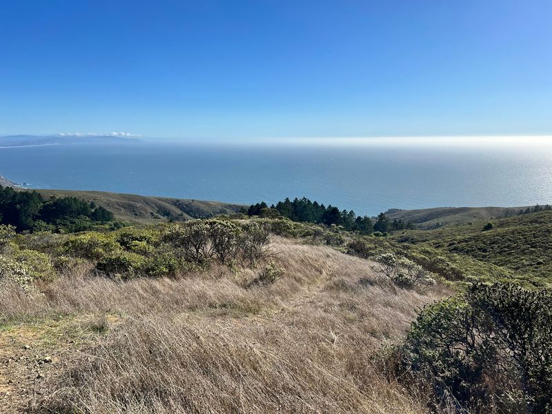 California’s November Hike Of The Month Is A Scenic Trail Worth Exploring Before Winter Arrives - Decor Hint The Ocean Views Up Top Are A Sneaky Bonus