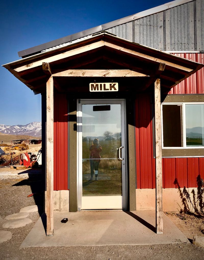 Cache Meadow Creamery In Preston