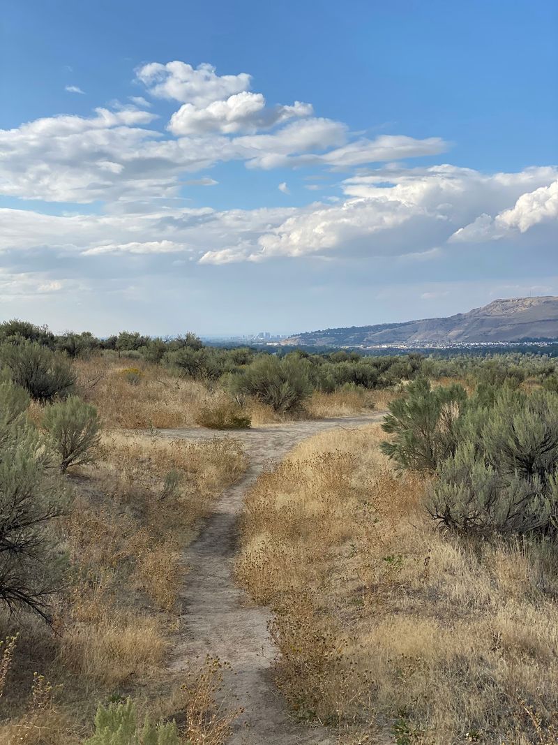 8 Idaho Spots Where Real Oregon Trail Wagon Ruts Are Still Carved Into The Ground - Decor Hint Oregon Trail Trailhead-Ada County