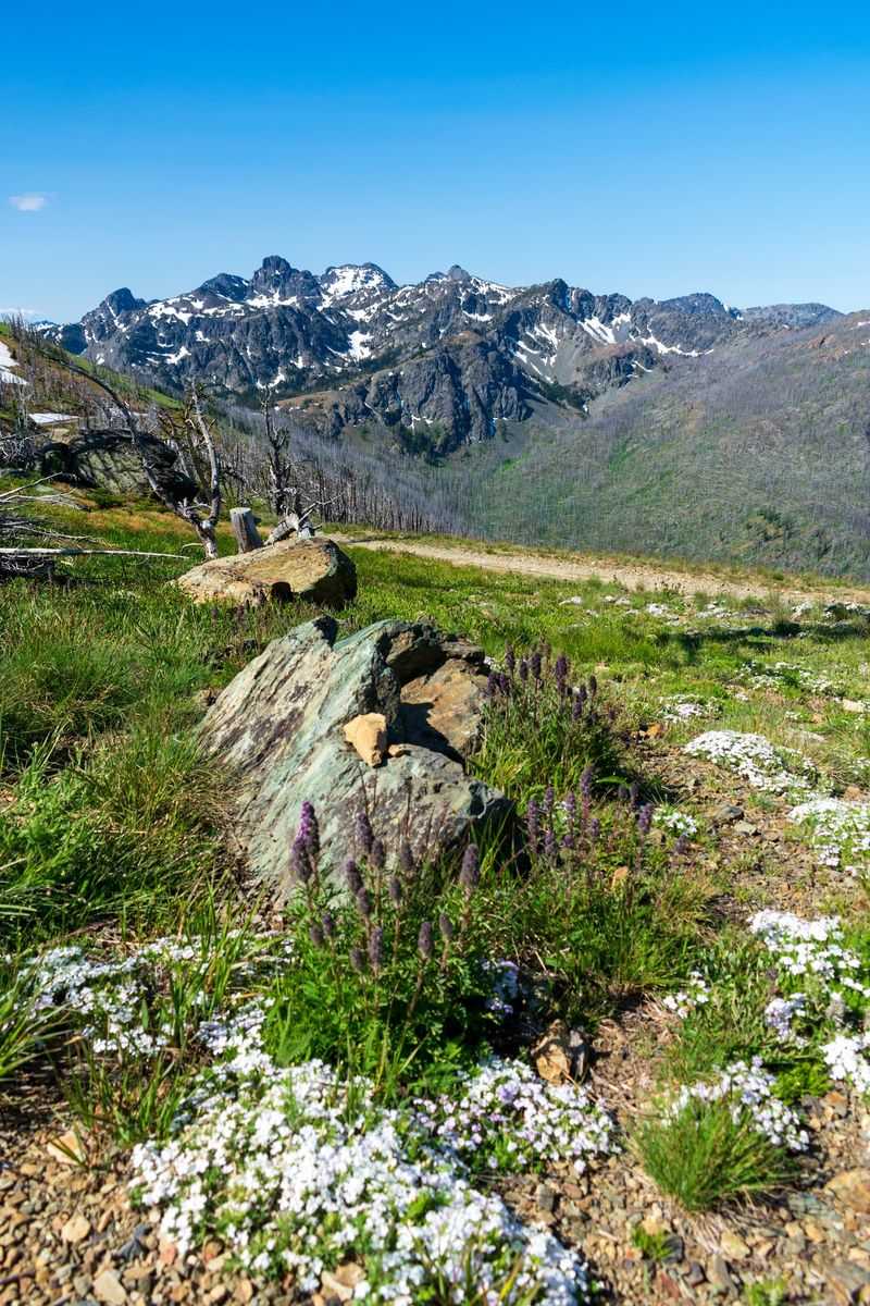 Camping, Fees, And The Snow-Free Window