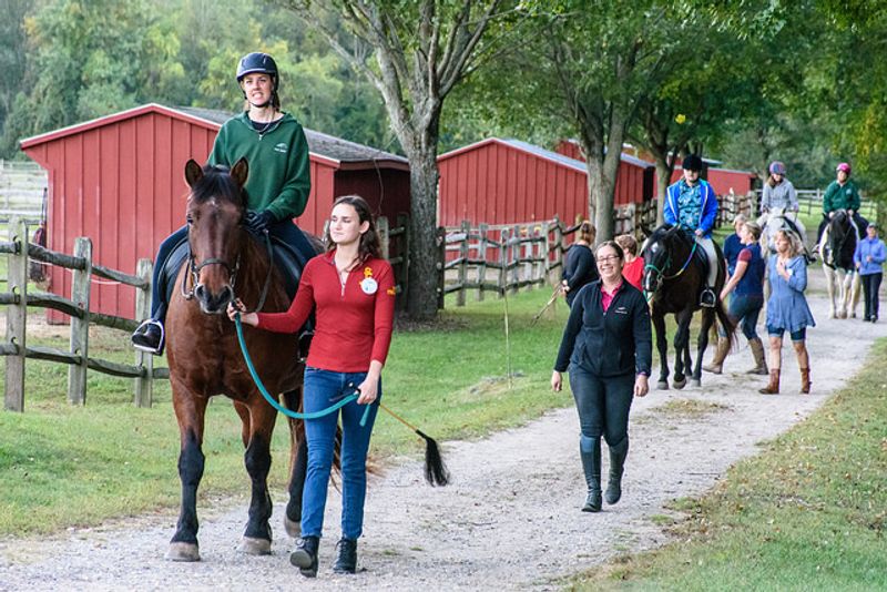 Volunteers Play An Important Role Around The Barn