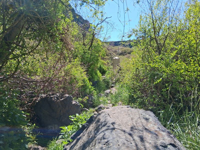 Going Down The Unimproved Path Takes Some Grip